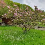 Haus Waldblick Daun