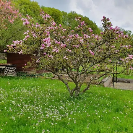 Haus Waldblick 다운