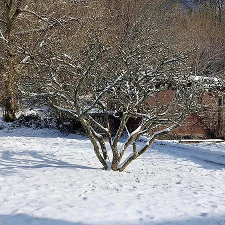 Haus Waldblick *