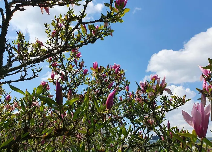 Lejlighed Haus Waldblick *